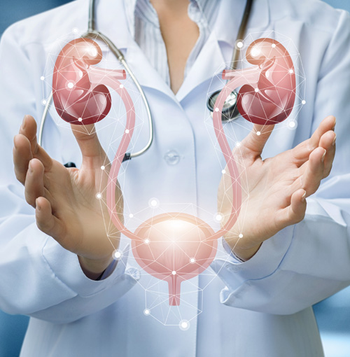 Best Nephrologist Treatment in Patna