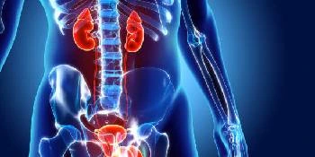 Best Nephrologist in Patna